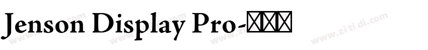 Jenson Display Pro字体转换